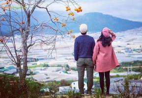 Điểm du lịch lý tưởng vào mùa đông tại Việt Nam