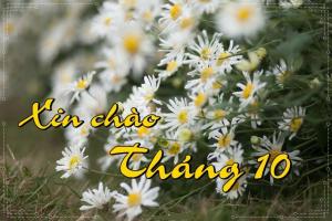 Tản văn viết về tháng mười hay nhất