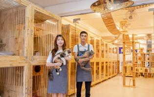 Khách sạn thú cưng uy tín, chất lượng nhất Khánh Hoà