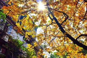 Điều thú vị nhất khi mùa thu đến ở Việt Nam
