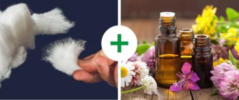 Cách giúp phòng tắm luôn thơm tho mà không cần sử dụng máy lọc không khí