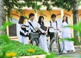 Loài cây gợi nhớ tuổi học trò nhất