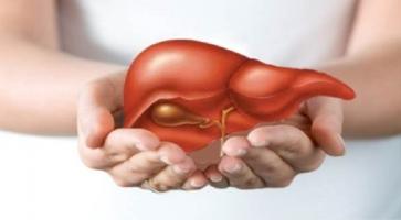Lời khuyên của chuyên gia khi nhiễm virus viêm gan B