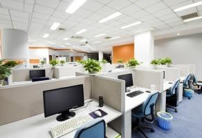 Lưu ý về phong thủy nơi công sở