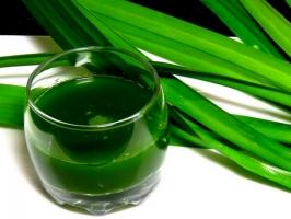 Món bánh từ lá dứa gợi nhớ tuổi thơ