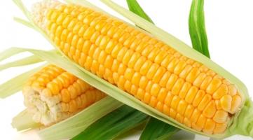 Món ngon nhất với bắp ngô không phải ai cũng biết