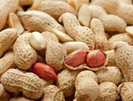 Món ngon nhất với lạc