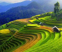Điểm đến thú vị nhất trong tháng 9 tại Việt Nam