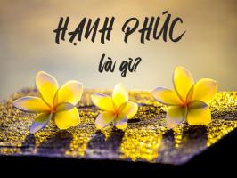 Tản văn viết về hạnh phúc hay nhất