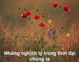 Nghịch lý cuộc sống