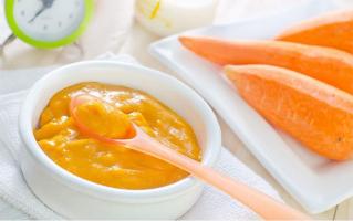 Nồi nấu bột cho bé tốt nhất trên thị trường hiện nay