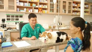 Phòng khám thú y uy tín nhất quận Tân Phú, TP. HCM