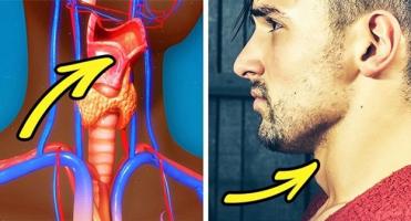 Sự thật về cơ thể nam giới mà chúng ta chưa biết