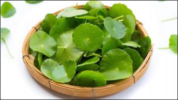 Loại rau bà bầu không nên ăn nhiều dễ khiến bị sảy thai, sinh non