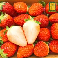 Cửa hàng trái cây sạch và an toàn tại Quận 5, TP. HCM