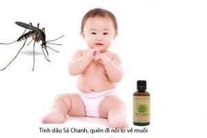 Sản phẩm tinh dầu đuổi muỗi hiệu quả nhất hiện nay