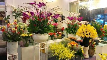 Shop hoa tươi đẹp nhất Quận 7, TP. HCM