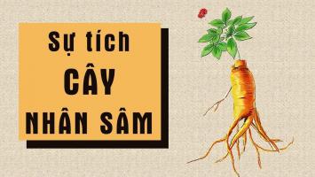 Sự tích về các loài cây hay và ý nghĩa nhất