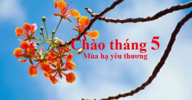 Tản văn viết về tháng 5 hay nhất
