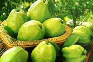 Mẹo dân gian hữu ích giúp chữa bệnh thường gặp bạn nên biết