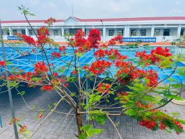 Trường tiểu học tốt nhất quận Ô Môn, Cần Thơ