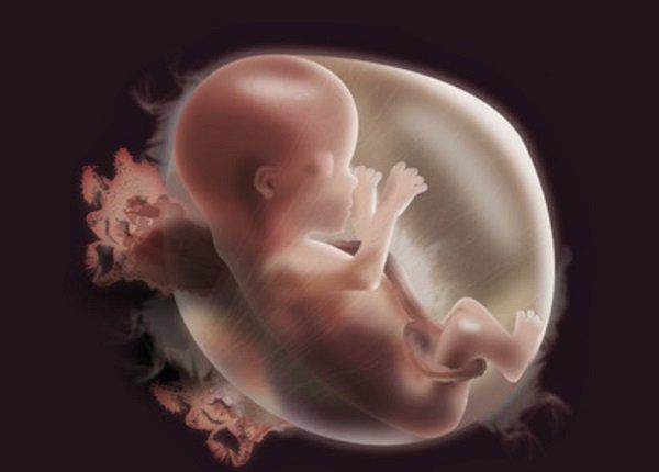 Khói thuốc lá ảnh hưởng nghiêm trọng tới sự phát triển của thai nhi.