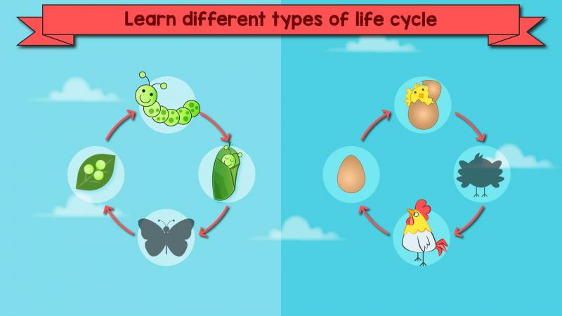 App for kids Primary School
