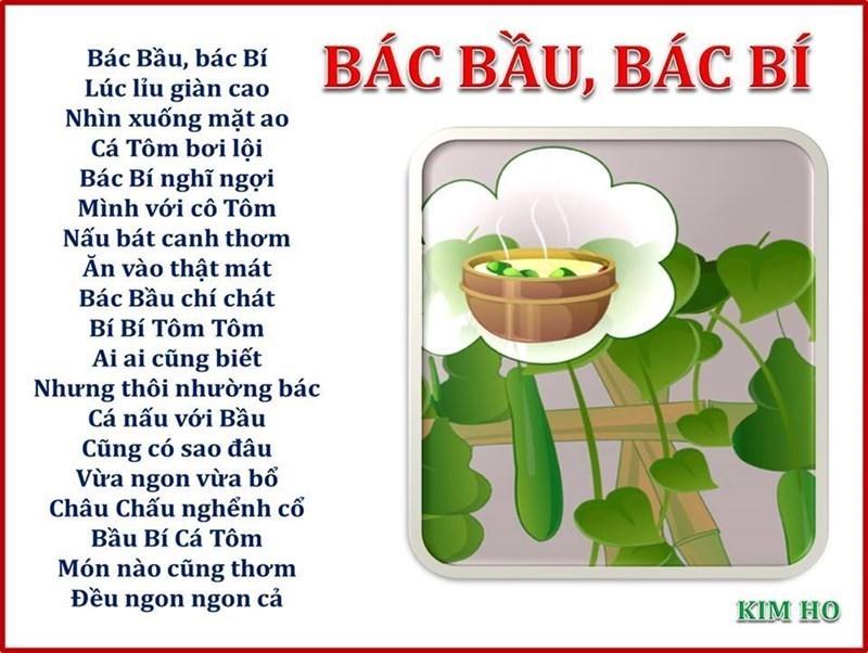 Bác bầu, bác bí