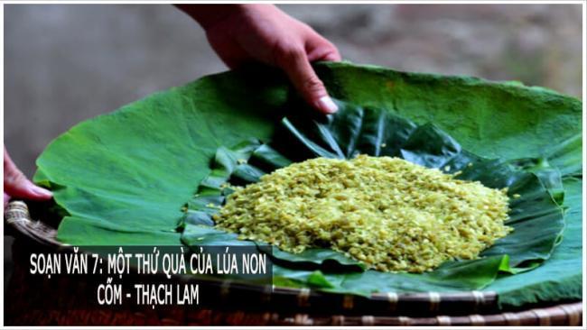 Ảnh minh họa (Nguồn internet)