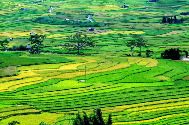 Bài soạn 