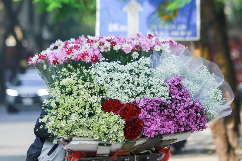 Ảnh minh họa nguồn internet