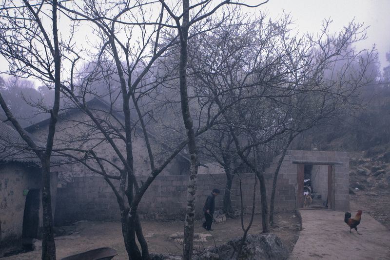 Dạo khúc mùa đông