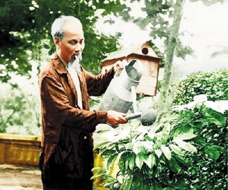 Ảnh bác Hồ