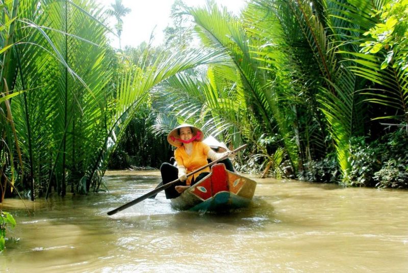 Ảnh minh hoạ (nguồn internet)