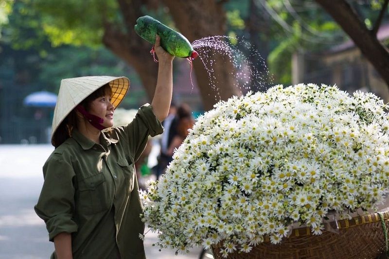 Ảnh minh hoạ (Nguồn internet)