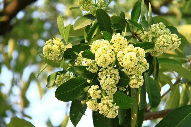 Tản mạn về tháng 11