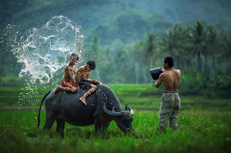 Bao giờ cho đến ngày xưa