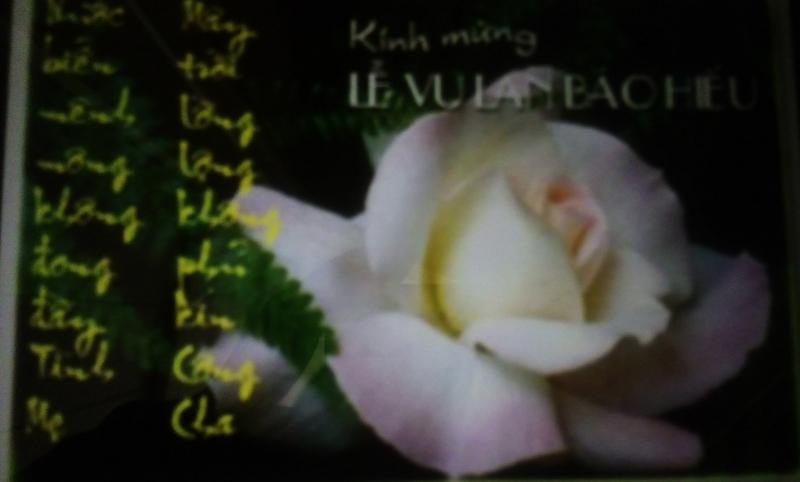 Ảnh minh họa (Nguồn internet)