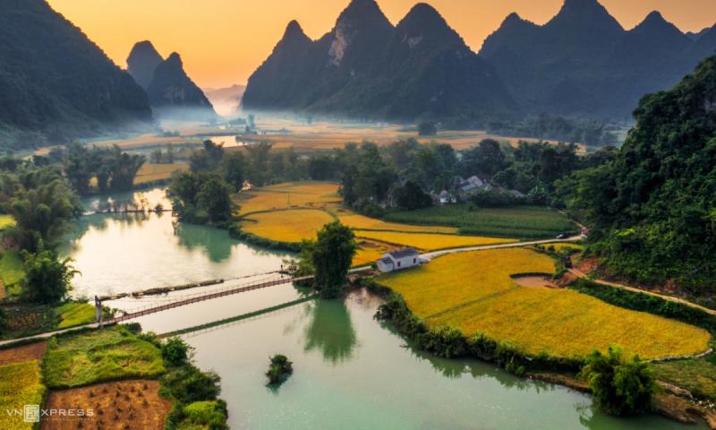 Bụi đời