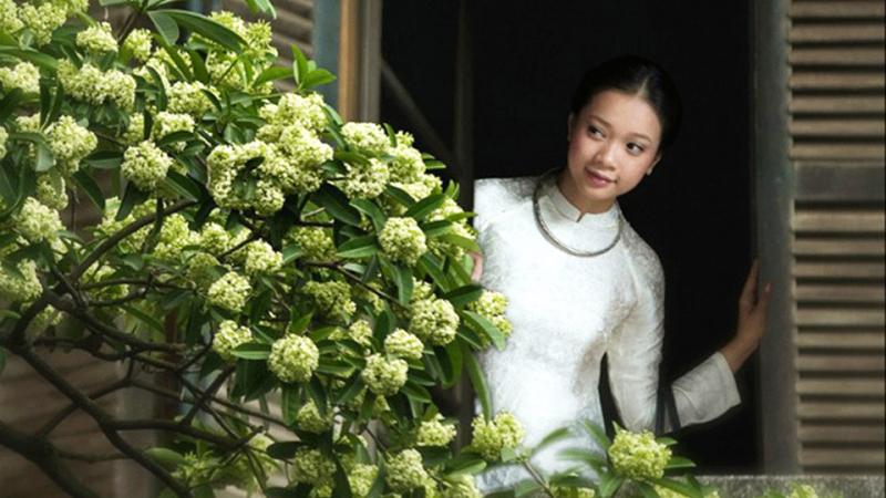 Ảnh minh họa (nguồn internet)
