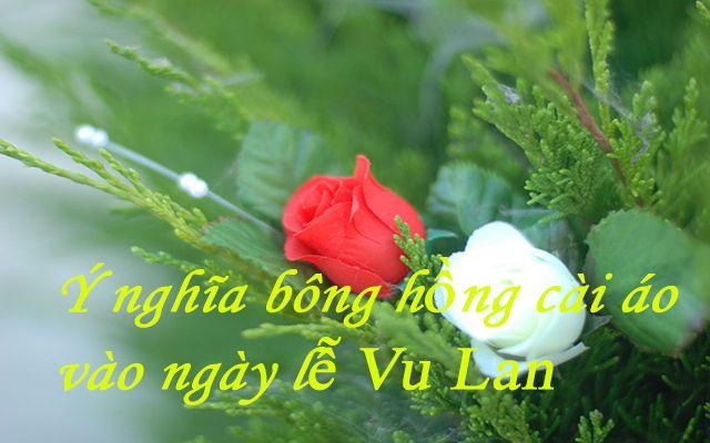 Ảnh minh họa (Nguồn internet)