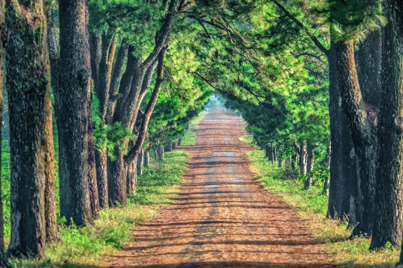 Bài văn phân tích nhân vật Tnú trong truyện 