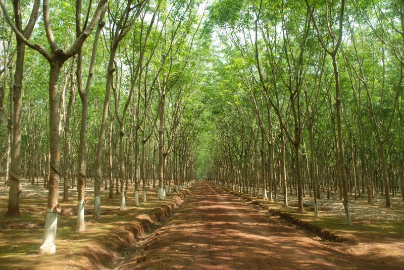 Bài văn phân tích nhân vật Tnú trong truyện 