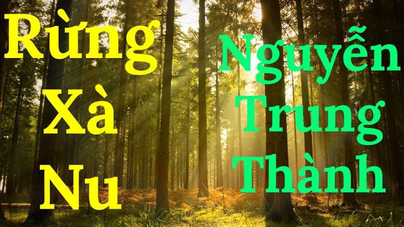 Bài văn phân tích nhân vật Tnú trong truyện 