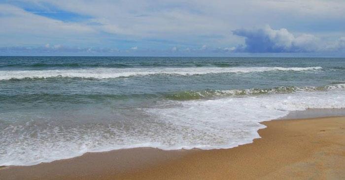 Bài tham khảo số 5