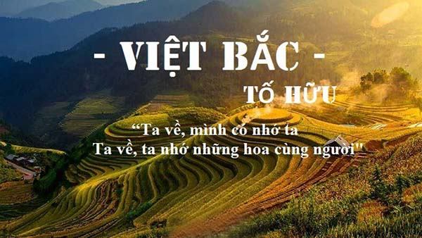 Bài tham khảo số 5