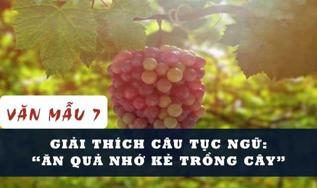 Ảnh minh họa (Nguồn internet)