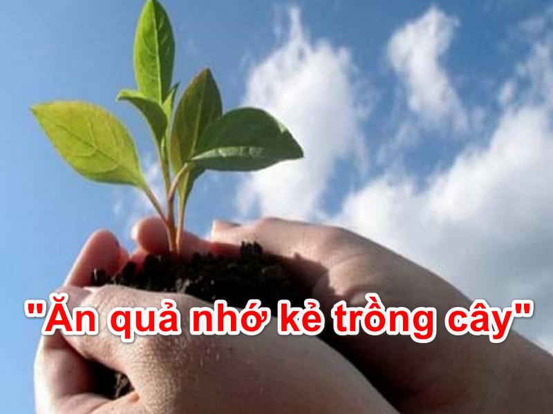 Ảnh minh họa (Nguồn internet)