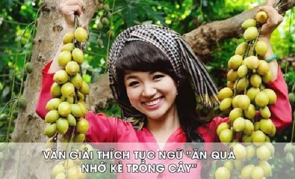 Ảnh minh họa (Nguồn internet)
