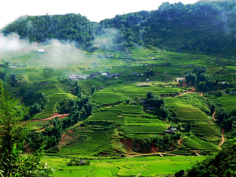 Quê mới